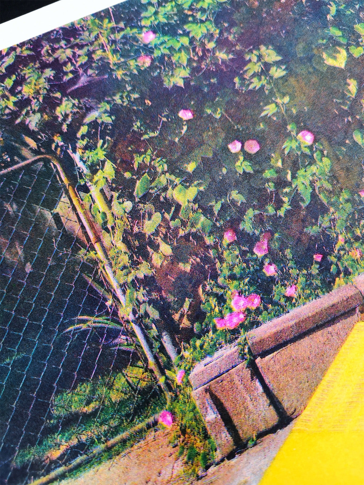 Chaise longue - Riso polaroid