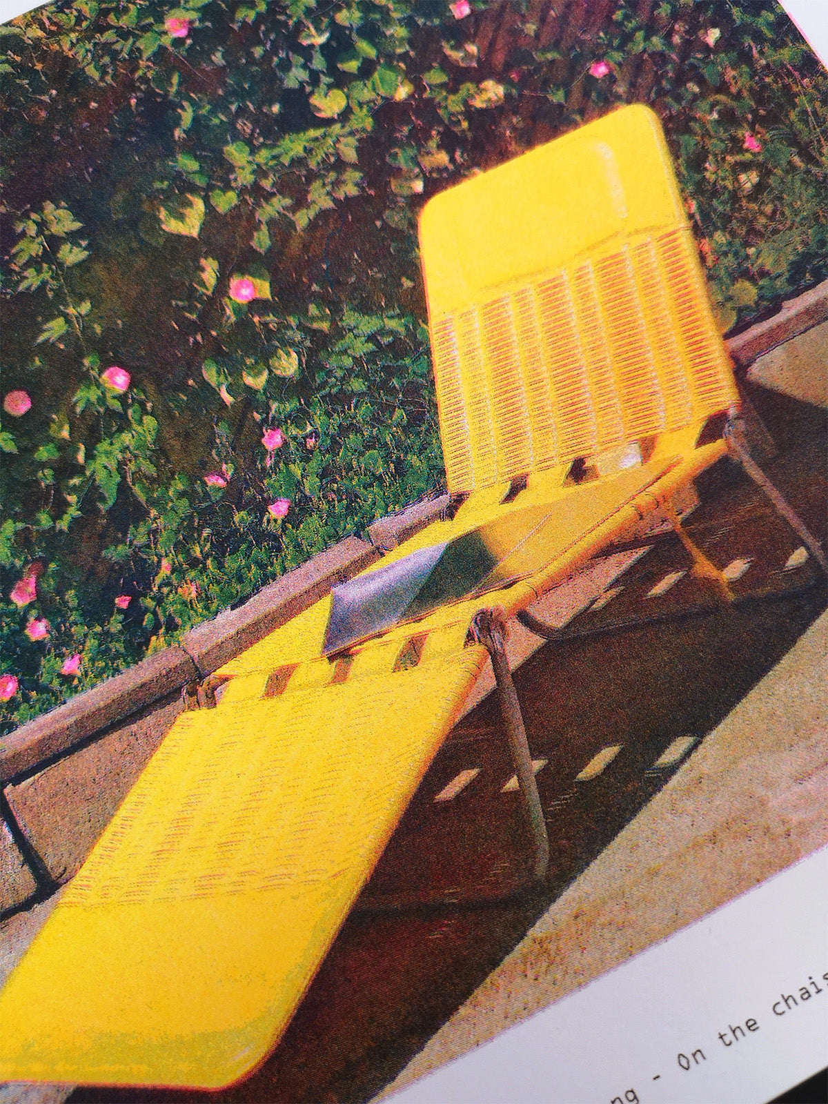Chaise longue - Riso polaroid